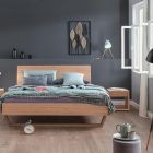 Bed Udana